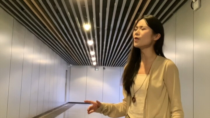 Akan menampilkan pertunjukan Fengming untuk kalian