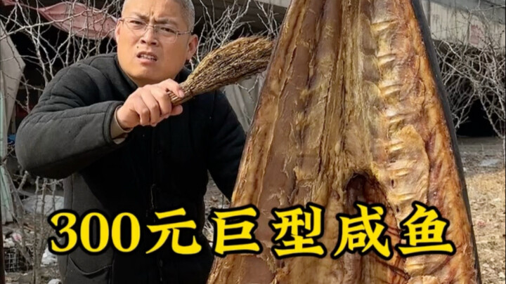 300元巨型金枪鱼