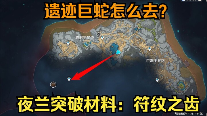 [Genshin Impact] Làm thế nào để đến Di Tích Cự Xà? Cách kiếm vật liệu đột phá cho Dạ Lan – Răng Văn 