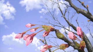 Nazo No Kanojo X episode 13