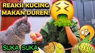 Pernah Lihat Kucing Makan DUREN..??