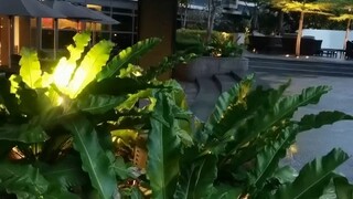 努力不是埋头苦干而是要看到关键点去发力，经历真好，感谢经历。人生很长，保持节奏，保持状态， 螺旋上升。