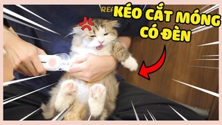 CẮT MÓNG CHO MÈO KHÓ KHĂN NHƯ THẾ NÀO? | The Happy Pets #96