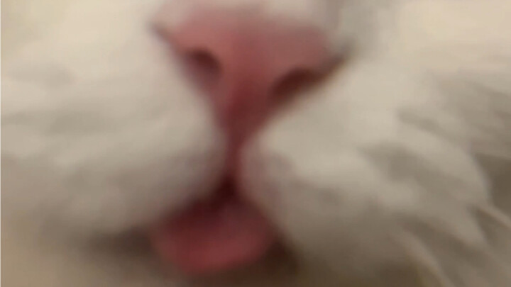 Cắn một miếng!