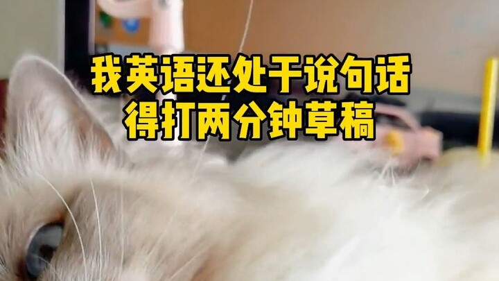 International students often surprise people when they first arrive abroad… Haha, it’s hilarious—jus