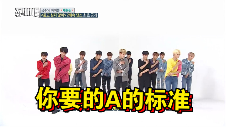 【SVT】就算2倍速！也是A的标准！