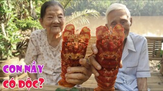 LẦN ĐẦU ÔNG, BÀ NGOẠI ĂN CON NÀY! | Chuyện Phương Kể • Tập 49