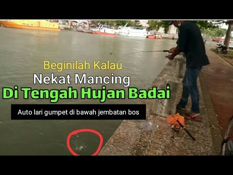 Beginilah kalau Nekat Mancing Saat Hujan Badai, Pemancing Gemblung ngumpet di bawah jembatan