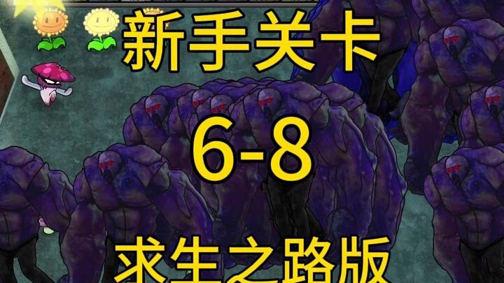 Beginner Levels 6–8