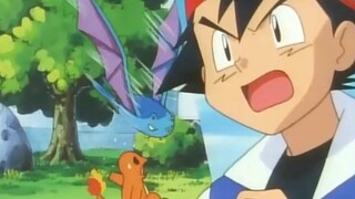 [Pokémon 041 042] Ma cà rồng có răng nanh là Pokémon khó chịu nhất Dơi siêu thanh và Dơi miệng to