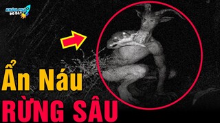 ✈️ 6 Khu Rừng Bí Ẩn và Đáng Sợ Nhất Thế Giới Bước Vào Cẩn Thận Một Đi Không Trở Lại |Khám Phá Đó Đây