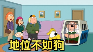 Family Guy : Keeksentrikan Pete membuat Brian sangat malu sehingga dia memutuskan untuk menggunakan 