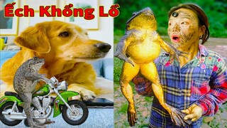 Thú Cưng TV | Gâu Đần và Bà Mẹ #41 | Chó Golden Gâu Đần thông minh vui nhộn | Pets cute smart dog