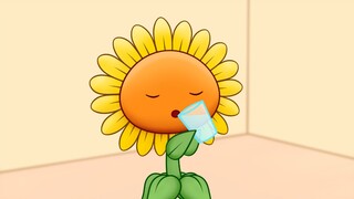 植物喝水