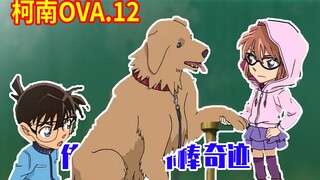 【柯南OVA·终 】柯南地咚灰原哀，小五郎球棒损坏欲哭无泪