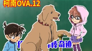 [Conan OVA·End] Dilding Conan mengenai Haihara Ai, pemukul Kogoro rusak dan dia menangis tanpa air m