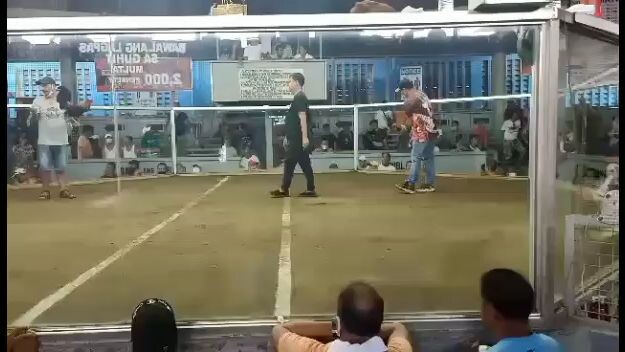 2x Win kana badboy