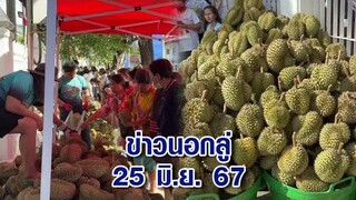 ข่าวนอกลู่ 25 มิ.ย. 67 - นึกว่ามาประท้วง! ชาวบ้านเกือบพันคน แห่ต่อคิวซื้อทุเรียน ลูกละ 50 บาท