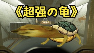 เมื่อคุณคิดค้นรูปแบบการหดตัวในเกมยิงปืน...