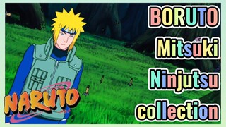 BORUTO Mitsuki Ninjutsu collection