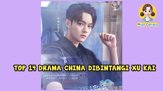 TOP 14 DRAMA CHINA YANG DIBINTANGI XU KAI (2018-2022)