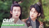 The Three Tigers Discover the Lair of the Bee Demon | Tiger and Crane EP12 | 虎鹤妖师录 | iQIYI