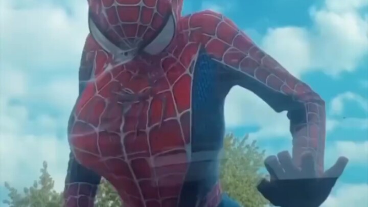 【Wild Spider-Man Spotted】