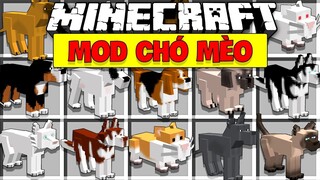 MINECRAFT MOD CHÓ MÈO QUÝ GIÁ TRONG MINECRAFT | JAYGRAY THỬ NUÔI CHUỘT HAMSTER CUTE VÀ CÁI KẾT