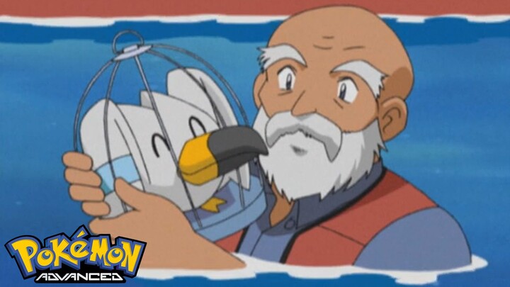 Pokémon AG Tập 294: Ông Lão Hagi Và Peeko! (Thuyết Minh)