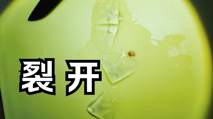 Loài sứa hải nguyệt có thể tách thành bốn, vậy nó có thể biến thành bốn con sứa hải nguyệt không?