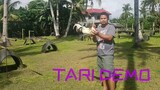 TARI TUTORIAL USING GAFFERBOOTS