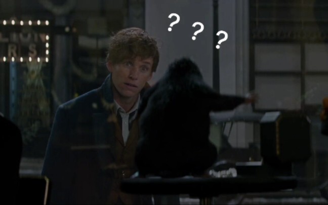 【Newt Scamander】Chào mừng đến với Sở thú Kỳ diệu của Newt
