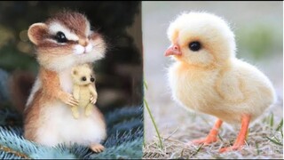 Cute Baby Animals Videos Compilation | Funny and Cute Moment of the Animals #26- Cutest Animals