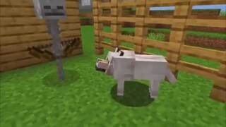 Minecraft: Những khoảnh khắc vui nhộn trong trò chơi!