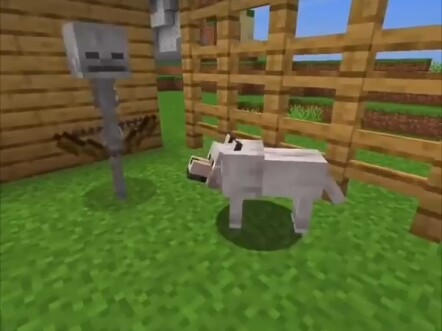 Minecraft: Funny moments in the game!