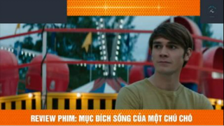 REVIEW PHIM : Mục đích sống của 1 chú chó (p3) #rvphimcuocsong