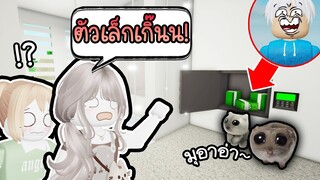 ปลอมตัวเป็นหนูจิ๋วน่ารักสุบๆ 🤏💖🐹ต้วเล็กหาไม่เจอ!😱 Roblox Brookhaven 🏡RP