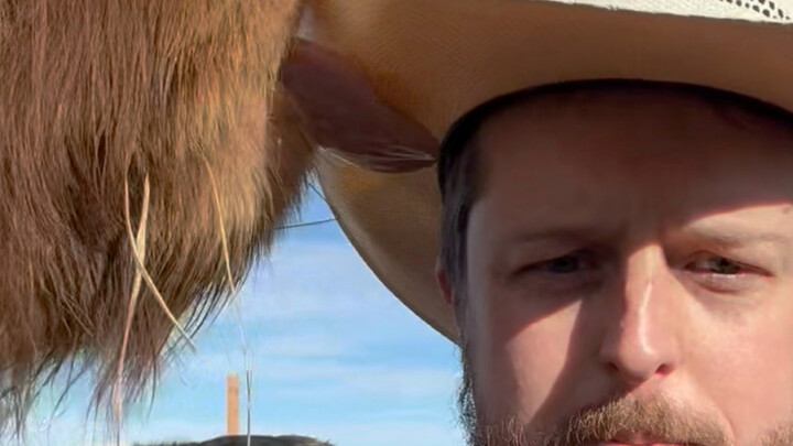 An American cowboy sings a Minnan song.