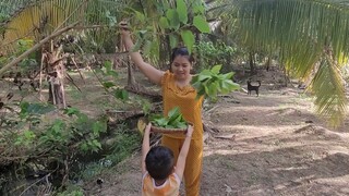 Ăn Hủ Tiếu Xào Nhất Định Phải Có Loại Rau Này Thì Mới Ngon Số 1|ATML &Family T101