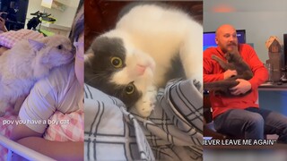 这样的猫猫怎么舍得讨厌呢