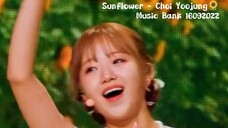 Cô gái kẹo bông bước ra từ cổ tích, cô ấy có nụ cười toả nắng! Sunflower - Choi Yoojung 🌻💕