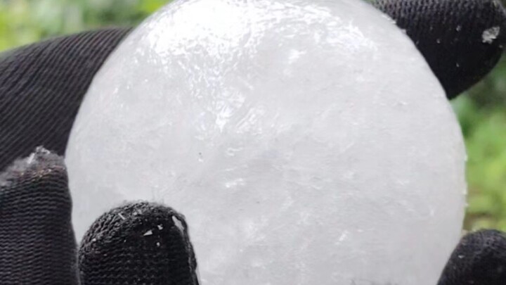 🥥🧊 A Frozen Surprise Inside!