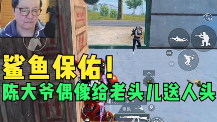 Shark blesses—Grandpa Chen’s idol delivers a head to the old man!