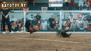BATOTOY BY