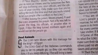 Daily Verse.                  Exodus 9:1-7