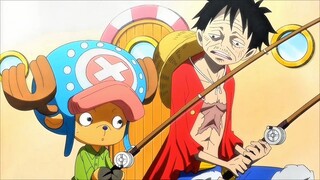 Chopper Trauma Mau Dimakan Sama Luffy 🤣