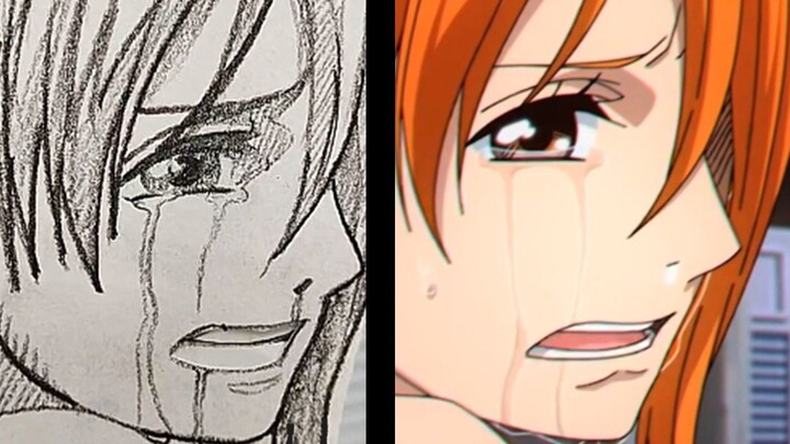 50 cents to restore "One Piece" Don't make my navigator cry!!