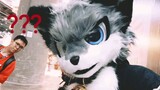 【fursuit】 Ayunan harian hewan di 1002cicf