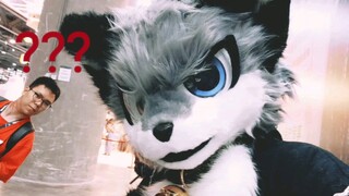 【fursuit】Sự thay đổi hàng ngày của các loài động vật trong 1002cicf