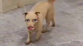 À thì tôi là nhân viên quản lý tòa nhà